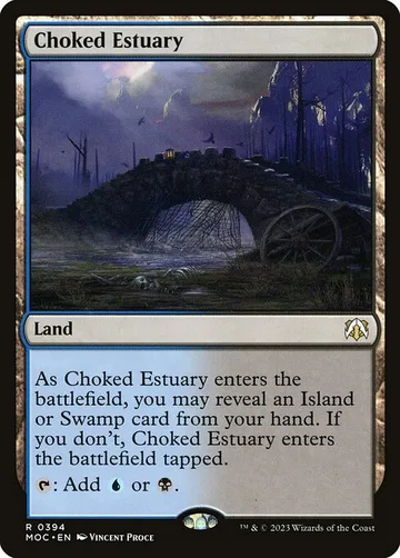 Choked Estuary 394
