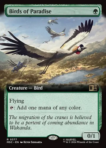 Birds of Paradise 377