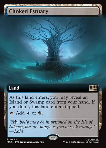 Choked Estuary 464