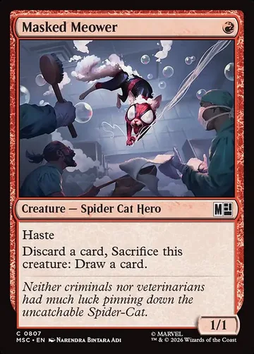 Masked Meower 807