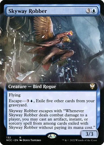 Skyway Robber 132