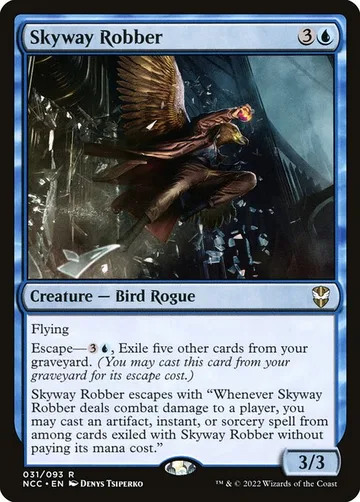 Skyway Robber 31