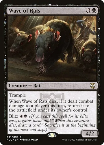 Wave of Rats 41
