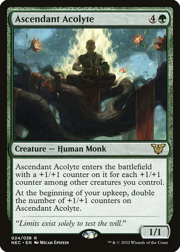 Ascendant Acolyte