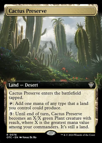 Cactus Preserve 76