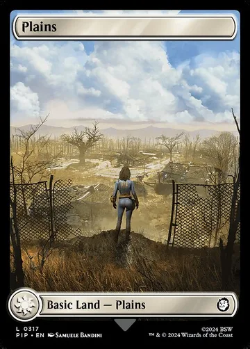 Plains 317
