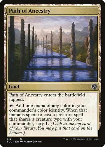 Path of Ancestry 312