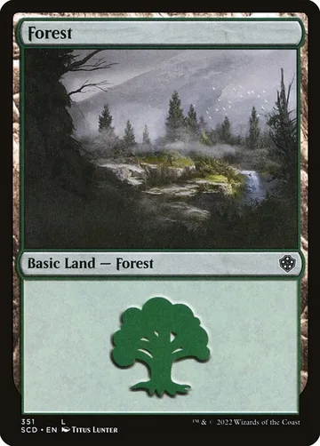 Forest 351