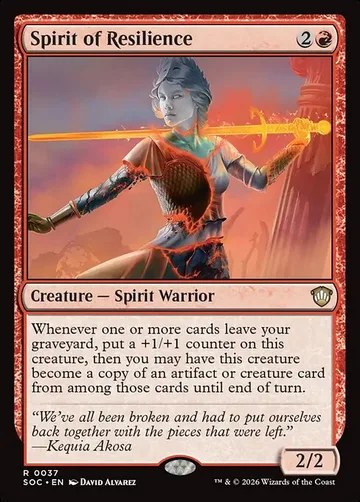 Spirit of Resilience 37
