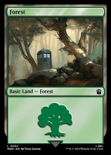 Forest 204