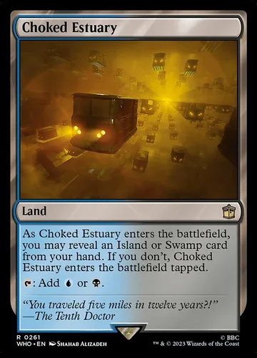 Choked Estuary 261