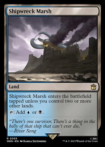 Shipwreck Marsh 305