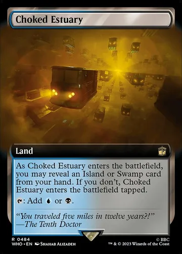 Choked Estuary 484