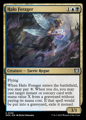Halo Forager 139