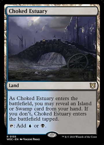 Choked Estuary 155