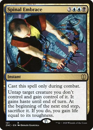 Spinal Embrace 101