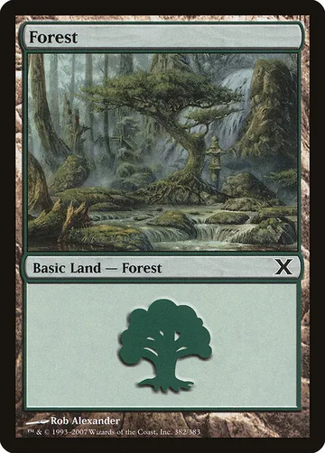 Forest 382
