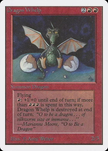 Dragon Whelp 142