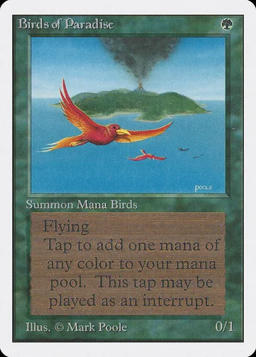 Birds of Paradise 187