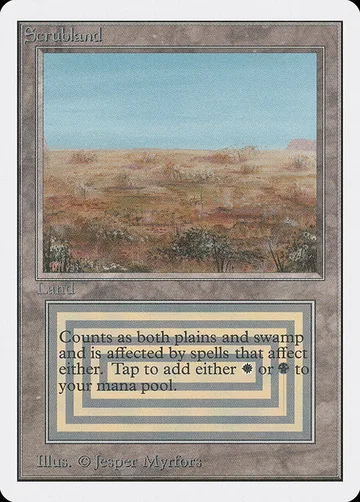 Scrubland 282