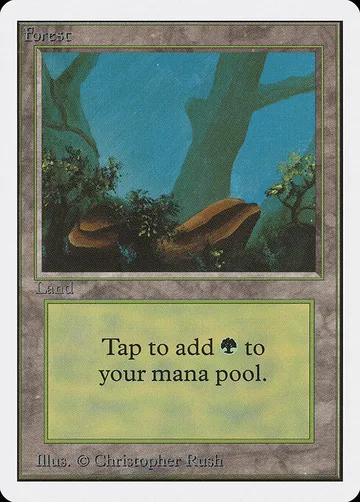 Forest 300