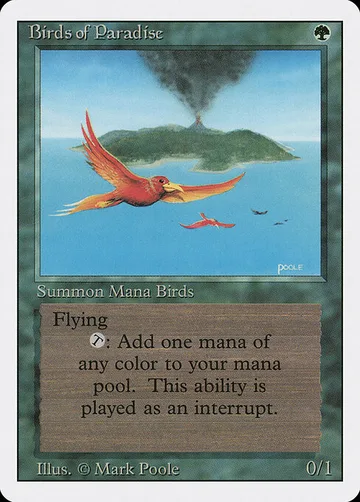 Birds of Paradise 187