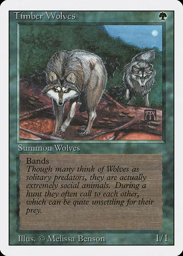 Timber Wolves 219