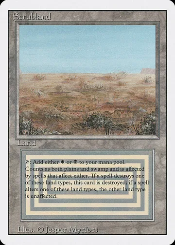 Scrubland 286