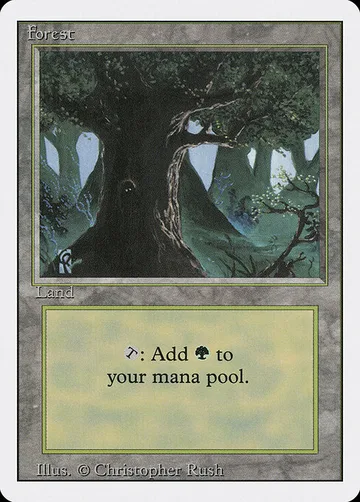 Forest 306