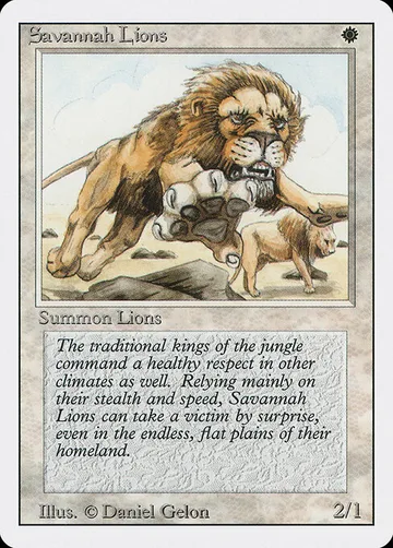 Savannah Lions 39