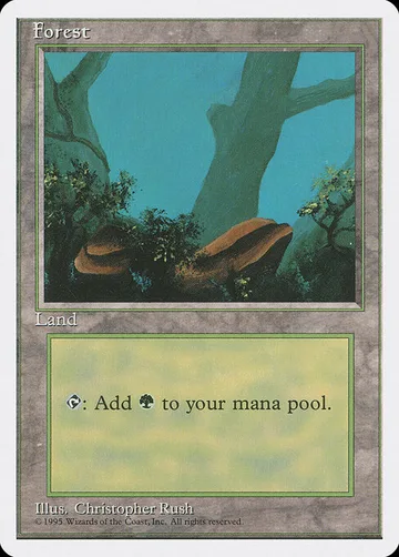 Forest 376