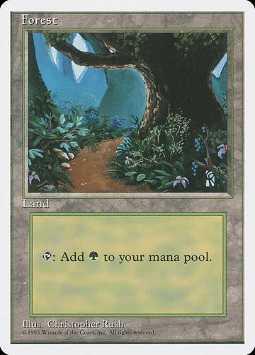 Forest 377