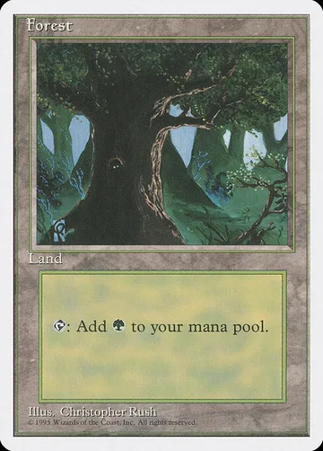 Forest 378