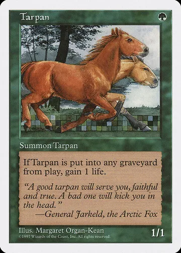 Tarpan 330