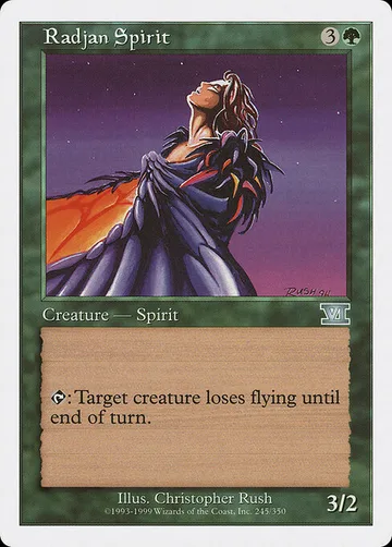 Radjan Spirit 245