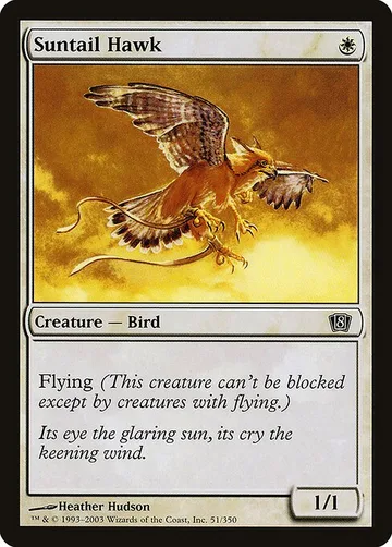 Suntail Hawk
