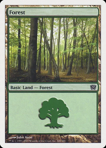 Forest