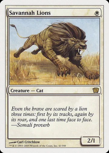 Savannah Lions 41