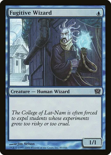 Fugitive Wizard