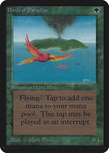Birds of Paradise 186