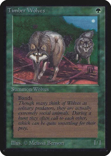 Timber Wolves 219
