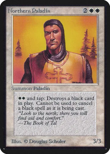 Northern Paladin 29