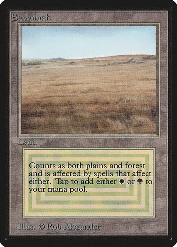 Savannah 281