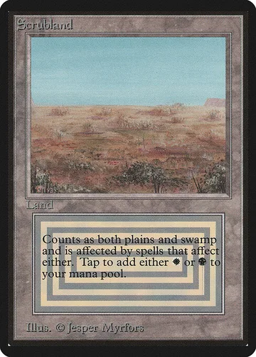 Scrubland 282