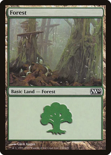 Forest 246
