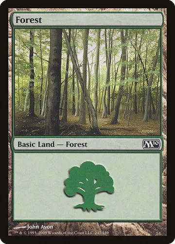 Forest 247