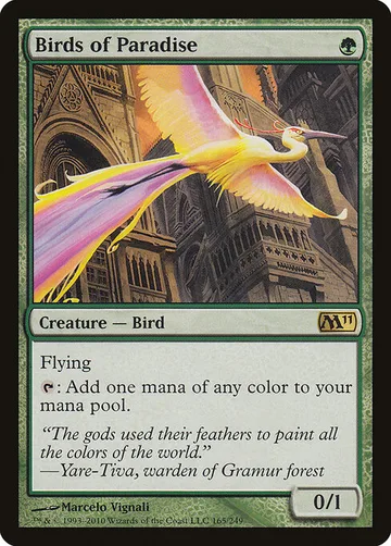 Birds of Paradise 165
