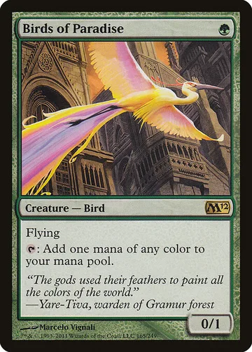 Birds of Paradise 165