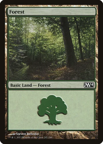 Forest 247