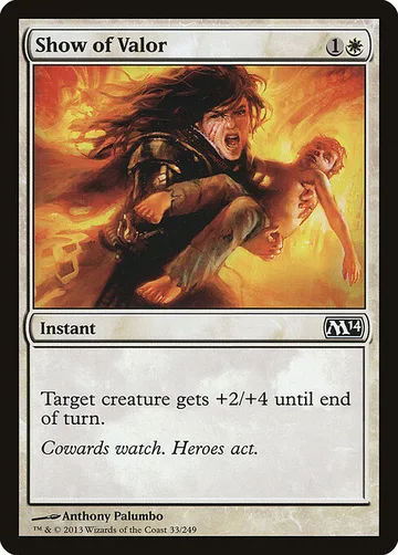 Show of Valor 33